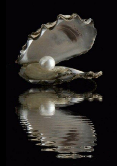 Pearl & Shell Craft