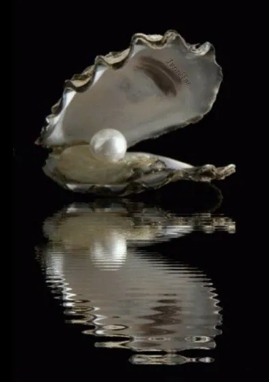 Pearl & Shell Craft